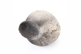 FileNo.179-0045s.jpg