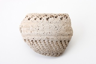 FileNo.179-0057s.jpg