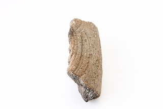 FileNo.179-0061s.jpg