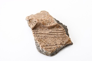 FileNo.179-0062s.jpg