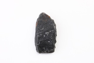 FileNo.179-0081s.jpg