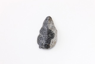 FileNo.179-0184s.jpg