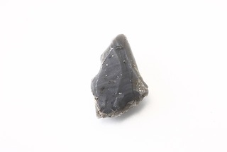 FileNo.179-0215s.jpg