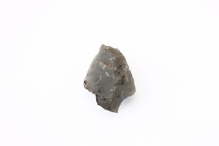FileNo.179-0301s.jpg