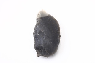 FileNo.179-0311s.jpg