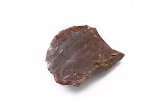 FileNo.179-0313s.jpg