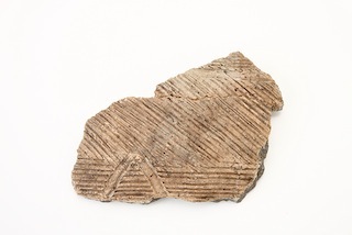 FileNo.179-0318s.jpg