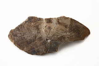 FileNo.179-0321s.jpg