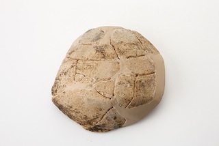 FileNo.179-0323s.jpg