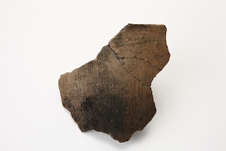 FileNo.179-0330s.jpg