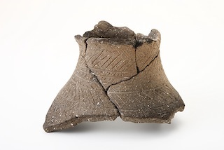 FileNo.179-0335s.jpg