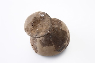 FileNo.179-0351s.jpg