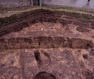 FileNo.179-07Id31.jpg