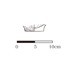 図版 179-M059.jpg