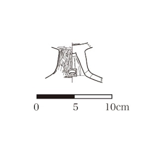 図版 179-M069.jpg