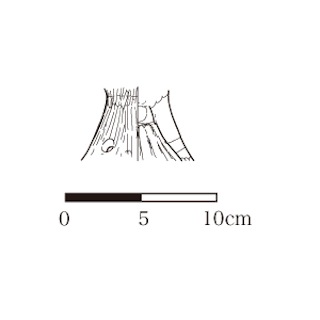 図版 179-M072.jpg