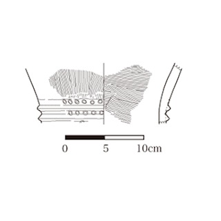 図版 179-M155.jpg