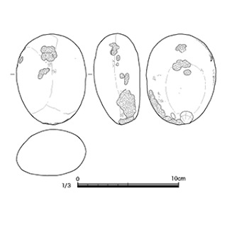 図版 179-N001.jpg