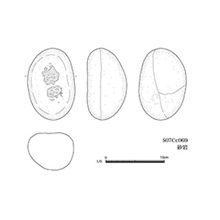 図版 179-S053.jpg