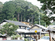 FileNo.180-003.jpg
