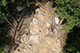FileNo.180-007.jpg