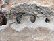 FileNo.180-018.jpg