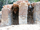 FileNo.180-021.jpg