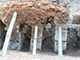 FileNo.180-023.jpg