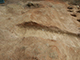 FileNo.180-025.jpg