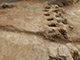 FileNo.180-026.jpg