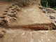 FileNo.180-027.jpg