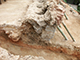 FileNo.180-029.jpg