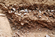 FileNo.180-036.jpg