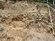 FileNo.180-040.jpg