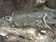 FileNo.180-043.jpg
