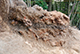 FileNo.180-044.jpg