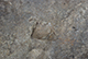 FileNo.180-048.jpg