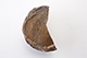 FileNo.180-053.jpg
