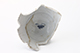 FileNo.180-118.jpg
