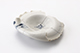 FileNo.180-125.jpg