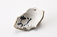 FileNo.180-169.jpg