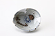 FileNo.180-181.jpg