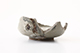 FileNo.180-184.jpg