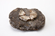 FileNo.180-220.jpg