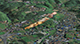FileNo.181-009.jpg
