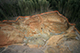 FileNo.181-018.jpg