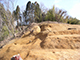 FileNo.181-022.jpg
