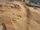 FileNo.181-038.jpg