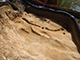FileNo.181-045.jpg