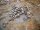 FileNo.181-047.jpg